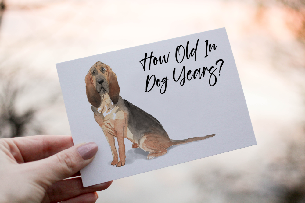 Bloodhound Dog Birthday Card, Dog Birthday Card